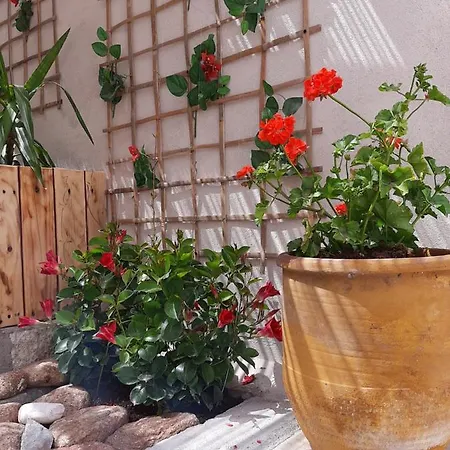 Appartement Mariza -studios *