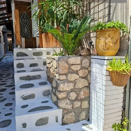 Mariza -studios 公寓 卡尼奥提