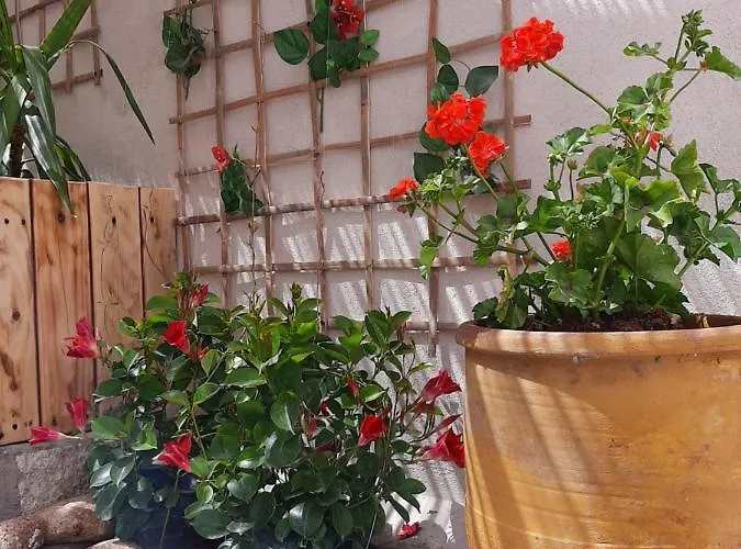 公寓 Mariza -studios *