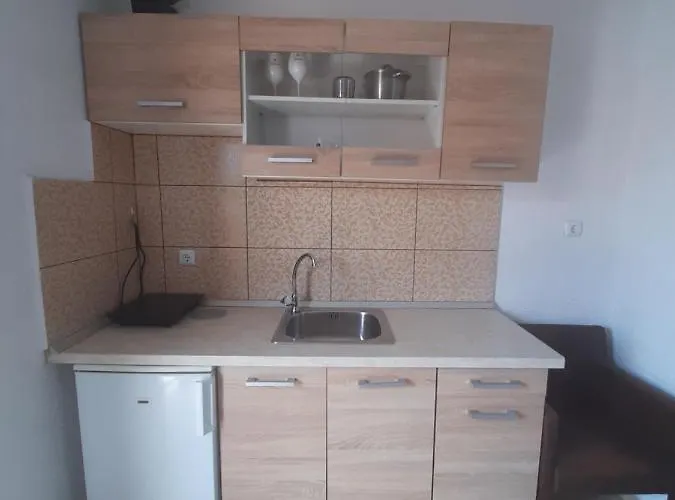 公寓 Mariza -studios 卡尼奥提