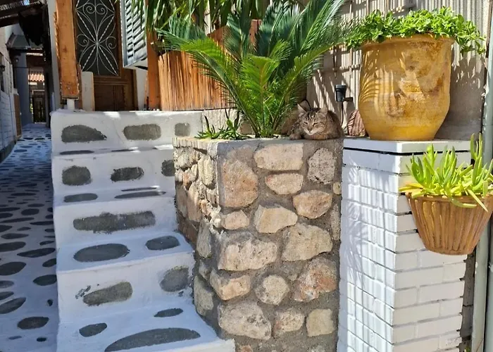 Mariza -studios 公寓 卡尼奥提